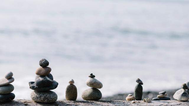 Fair machine learning with tidymodels